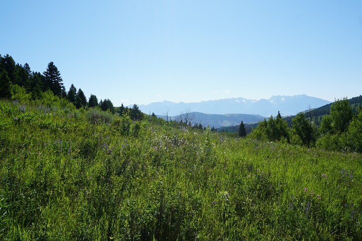 Hike To Chimney Rock With An Enthusiastic Tour Guide - thumb 0