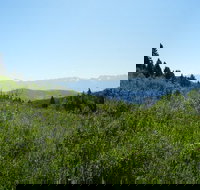 Hike to Chimney Rock with an Enthusiastic Tour Guide - Accommodation Alabama