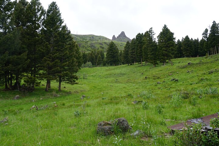 Hike To Chimney Rock With An Enthusiastic Tour Guide - thumb 3