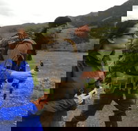 Sundowner Grizzly Excursion Tour - Accommodation Alabama