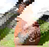 Keep Calm and Brush On - Accommodation Alabama