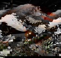 Branson Dinosaur Museum Admission Ticket - Accommodation Alabama