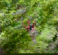 Zipline Canopy Tour in Branson - Accommodation Alabama