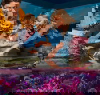 SEA LIFE New Jersey at American Dream - Accommodation Alabama