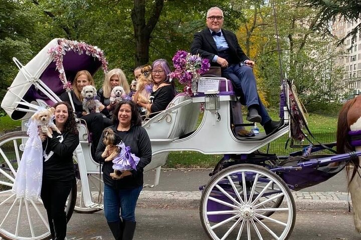 NYC Central Park Horse And Carriage Ride: Medium Ride 30 Min - thumb 0