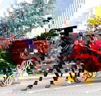 NYC Horse Carriage Ride in Central Park 50 Minutes - Photo Stops - Accommodation Alabama