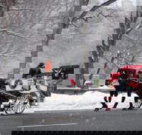 45 Minutes Central Park Tour - Accommodation Alabama