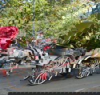 Private Horse and Carriage Ride in Central Park - Accommodation Alabama