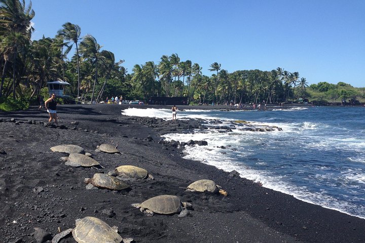 Hawaii Big Island Circle Small Group Tour: Waterfalls - Hilo - Volcano - Black Sand Beach - thumb 5