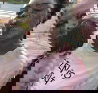 Scavenger Hunt Adventure in Pittsburgh by Crazy Dash - Accommodation Alabama