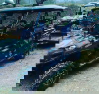 Premier Powersport Dealer Sales Service  UTV Rentals - Accommodation Alabama