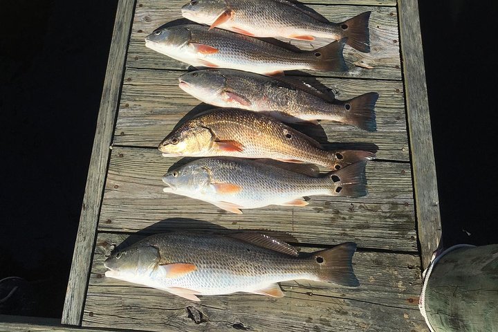 Wrightsville Beach Fishing Trips - thumb 4