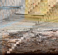 Axe Throwing Training - Accommodation Alabama