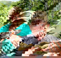 Full Day Float Trip - Accommodation Alabama