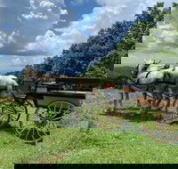 Horse and Carriage Ride through Moses H. Cone Park - Accommodation Alabama