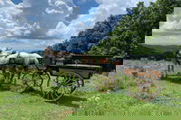 Palestine Nc Accommodation Alabama