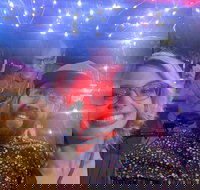 Private Pedicab Karaoke Cruising in Downtown Raleigh - Accommodation Alabama