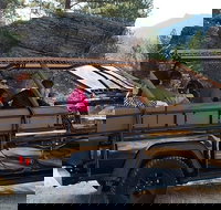 Jeep Bison Safari - Custer State Park - Accommodation Alabama