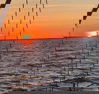 Private Hilton Head Sunset Sailing Tour with Dolphin Watching - Accommodation Alabama