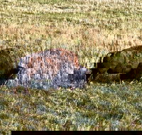 Private Tour - Badlands Delta 9 Missile Museum  Wall Drug - Accommodation Alabama