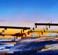 90 Minute Hilton Head Dolphin Tour - Accommodation Alabama