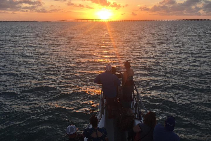 90-Minute Dolphin Watch Tour Of South Padre Island - thumb 1