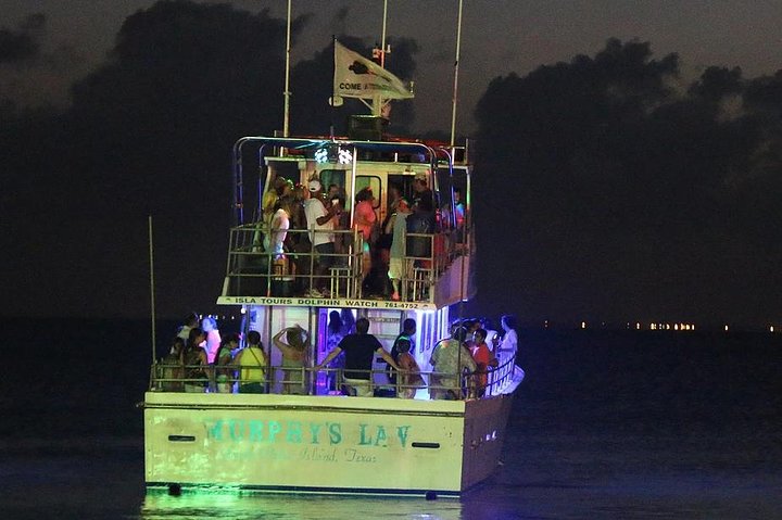 90-Minute Dolphin Watch Tour Of South Padre Island - thumb 5