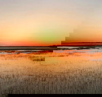 Private Hilton Head Sunset Dolphin Tour - Accommodation Alabama