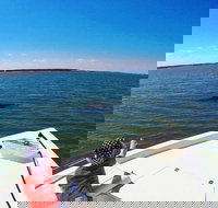 Private Hilton Head Dolphin Watching Tour with Waterfront Dining Stops - Accommodation Alabama