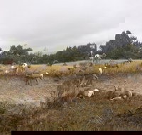 Private Badlands National Park Day Tour - Accommodation Alabama