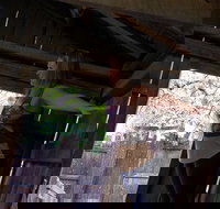 Cosmos Mystery Area Admission - Accommodation Alabama