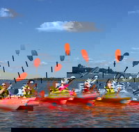 2-Hour Guided Kayak Nature Tour of Hilton Head - Accommodation Alabama