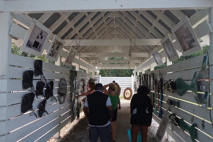 Daufuskie Island Guided History Tour From Hilton Head - thumb 1