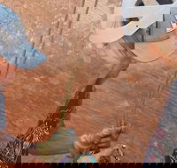 East Zion Experiences 4-Hour Slot Canyon Canyoneering UTV Tour - Accommodation Alabama