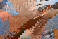 Zion National Park Ut Accommodation Alabama