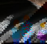 Great Chamber/Peekaboo Slot Canyon UTV Tour 4hrs - Accommodation Alabama