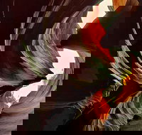 Small-Group Sunset UTV Slot Canyon and Smore Tour - Accommodation Alabama