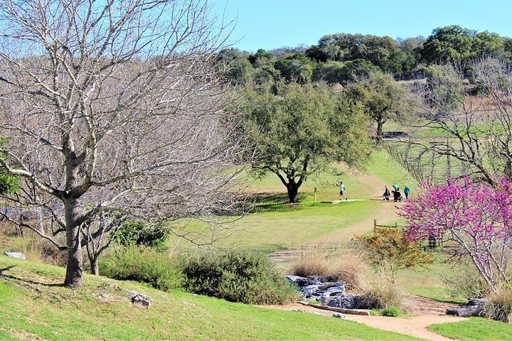 Marble Falls Wine Tasting And Disc Golf Package - thumb 3