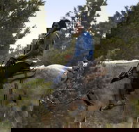 East Zion Twin Knoll Horseback Ride Experience - Accommodation Alabama