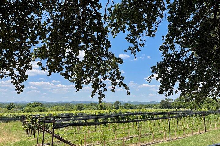 Fredericksburg Texas Wine Tasting Tour - 3 Wineries and Lunch