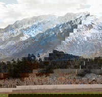 Mountain View E-Bike Experience - Accommodation Alabama