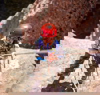 Half Day Canyoneer in Lambs Knoll - Accommodation Alabama