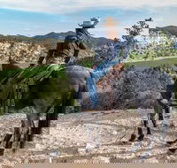 East Zion Resort Horse Trail Riding Tour - Accommodation Alabama