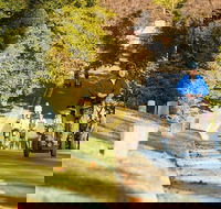 Hollywood Cemetery Segway Tour in Richmond - Accommodation Alabama