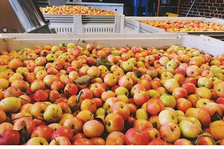 Blue Bee Cider 1-Hour Tour And Tasting - thumb 3