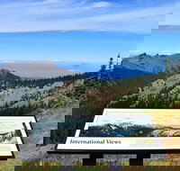 Hurricane Ridge Guided Tour in Olympic National Park - Accommodation Alabama