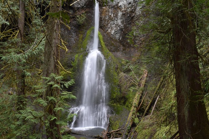 Lake Crescent And Marymere Falls Guided Tour In Olympic National Park - thumb 0