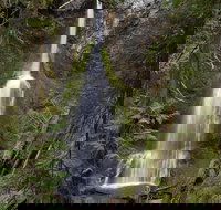 Lake Crescent and Marymere Falls Guided Tour in Olympic National Park - Accommodation Alabama