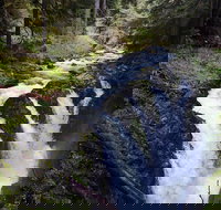 Sol Duc Falls Guided Tour in Olympic National Park - Accommodation Alabama