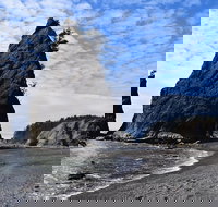 Hoh Rain Forest and Rialto Beach Guided Tour in Olympic National Park - Accommodation Alabama